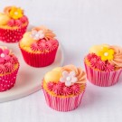 ROSA CUPCAKE FORMER (illustrasjonsbilde) thumbnail