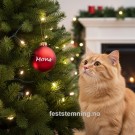 JULEKULE MED NAVN TIL KATT (illustrasjonsbilde) thumbnail