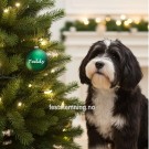 JULEKULE MED NAVN TIL HUND (illustrasjonsbilde) thumbnail