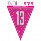 ROSA BANNERFLAGG PYNT TIL 13-ÅRSDAG thumbnail