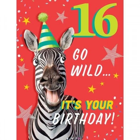 HUMOR BURSDAGSKORT 16 ÅR - GO WILD