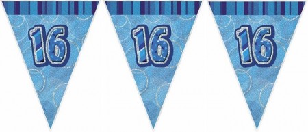 BLUE DAZZLING 16 BANNER FLAGG
