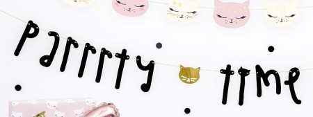 SLEEPY CAT BANNER