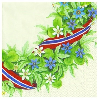 17. MAI SERVIETTER