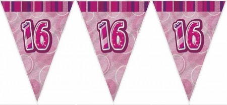PINK GLITZ BANNER FLAGG 16