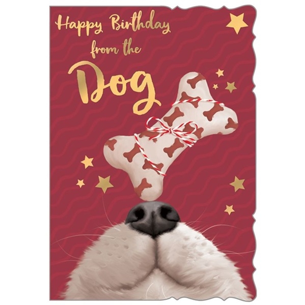 BURSDAGSKORT FRA HUND